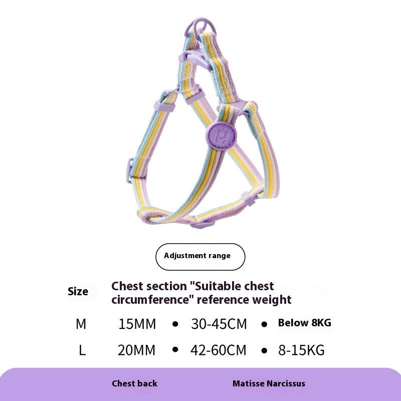 Retro Rope Dog Harness & Collar – Small & Medium Dogs”