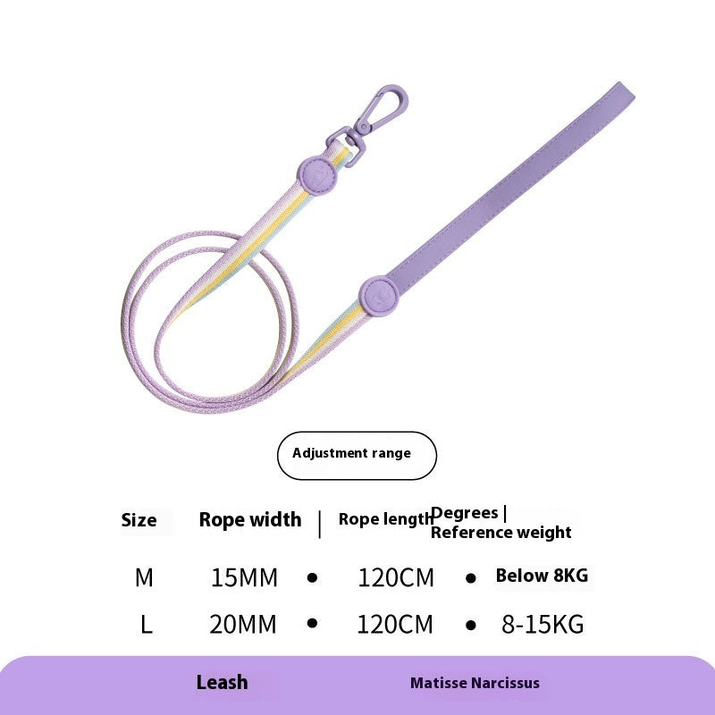 Retro Rope Dog Harness & Collar – Small & Medium Dogs”