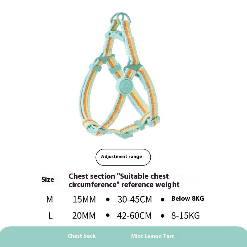 Retro Rope Dog Harness & Collar – Small & Medium Dogs”