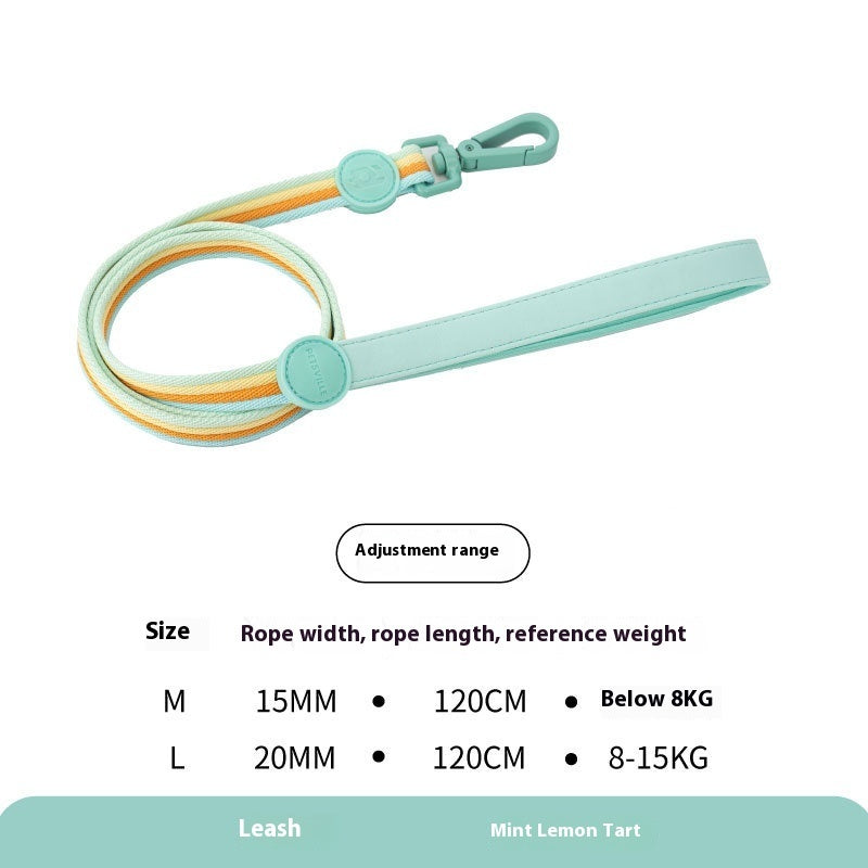 Retro Rope Dog Harness & Collar – Small & Medium Dogs”